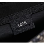 Dior Oblique Crossbody Bag