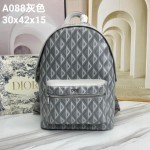 Dior- backpack, model: A088# gray grid