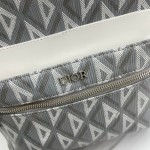 Dior- backpack, model: A088# gray grid