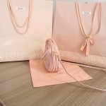 MIU MIU 5BP078: Wander手袋