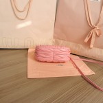 MIU MIU 5BP078: Wander手袋