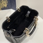 DIOR LADY latest 95-22 series