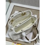 LADY DIOR 95.22「走秀款」