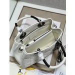 LADY DIOR 95.22「走秀款」