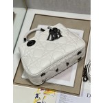 LADY DIOR 95.22「走秀款」