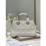 LADY DIOR 95.22「走秀款」