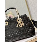 LADY DIOR 95.22「走秀款」