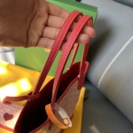 GOYARD Double sided Mini Shopping Bag W11