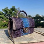 CHANEL model 24313mini cover bag