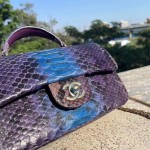 CHANEL model 24313mini cover bag