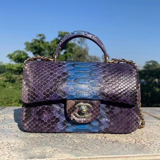 CHANEL model 24313mini cover bag