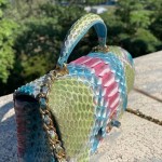 CHANEL model 24313mini cover bag