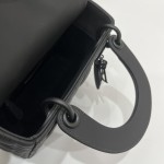 DIOR Princess Diana three grid series