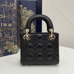 DIOR Princess Diana three grid series