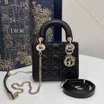 DIOR Princess Diana three grid series