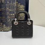 DIOR Princess Diana three grid series