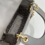 DIOR Princess Diana three grid series