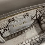 DIOR Princess Diana three grid series