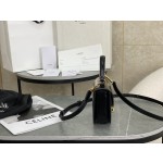 CELINE Leather Mini Saddle Bag Model: 10L063