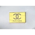 CHANEL Dice Bag Model AS3744