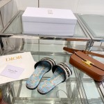 Dior slippers