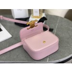 CELINE 𝗧𝗥𝗜𝗢𝗠𝗣𝗛⻼𝗠𝗜𝗡𝗜 Triumphal Arch Mini Crossbody Bag Model: 101513