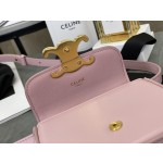 CELINE 𝗧𝗥𝗜𝗢𝗠𝗣𝗛⻼𝗠𝗜𝗡𝗜 Triumphal Arch Mini Crossbody Bag Model: 101513