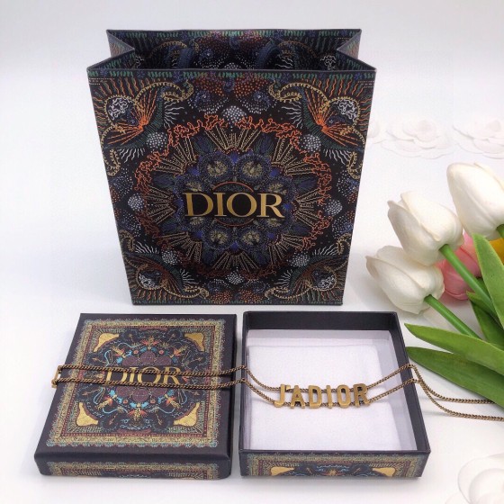 Dior Necklace DXL0020