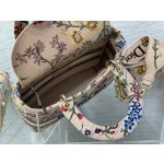 Dior Five Grid Apricot Iris 6605