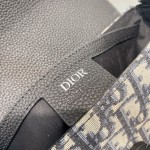 Dior Saddle Handbag