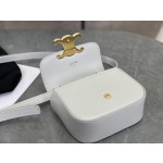 CELINE 𝗧𝗥𝗜𝗢𝗠𝗣𝗛⻼𝗠𝗜𝗡𝗜 Triumphal Arch Mini Crossbody Bag Model: 101513