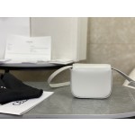 CELINE 𝗧𝗥𝗜𝗢𝗠𝗣𝗛⻼𝗠𝗜𝗡𝗜 Triumphal Arch Mini Crossbody Bag Model: 101513