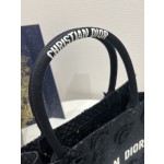 DIOR Tote latest spring and summer