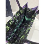 DIOR Lady embroidery latest spring and summer series