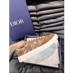 Dior Low Top B101 Casual Sports Shoe