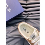 Dior Low Top B101 Casual Sports Shoe