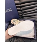 Dior Low Top B101 Casual Sports Shoe