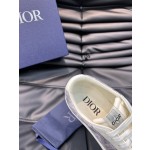 Dior Low Top B101 Casual Sports Shoe