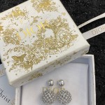 Dior earrings