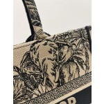 DIOR Tote latest spring and summer