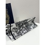 DIOR Tote latest spring and summer