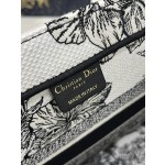 DIOR Tote latest spring and summer