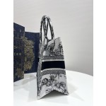 DIOR Tote latest spring and summer