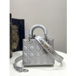 DIOR Lady Diana four grid series