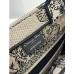 DIOR Tote latest spring and summer