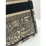 DIOR Tote latest spring and summer
