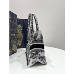 DIOR Tote latest spring and summer