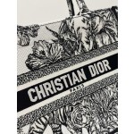 DIOR Tote latest spring and summer