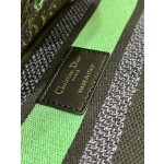 DIOR Lady embroidery latest spring and summer series