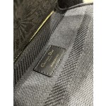 DIOR Lady embroidery latest spring and summer series